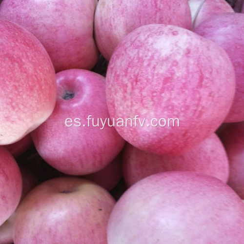Precio al por mayor Qinguan manzana con buena calidad